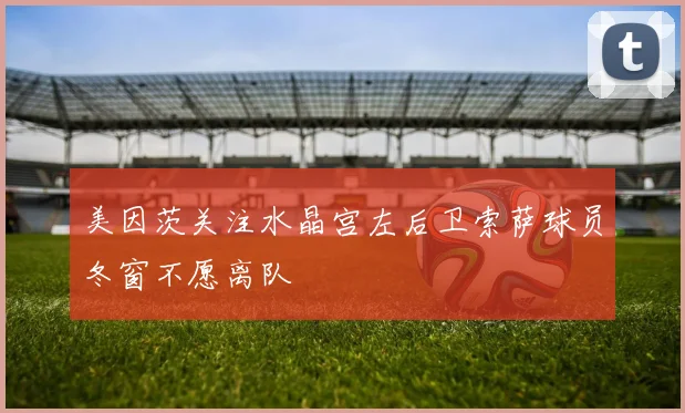 美因茨关注水晶宫左后卫索萨球员冬窗不愿离队