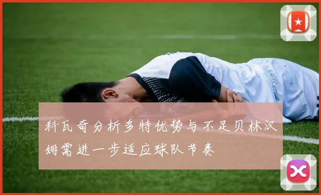 科瓦奇分析多特优势与不足贝林汉姆需进一步适应球队节奏